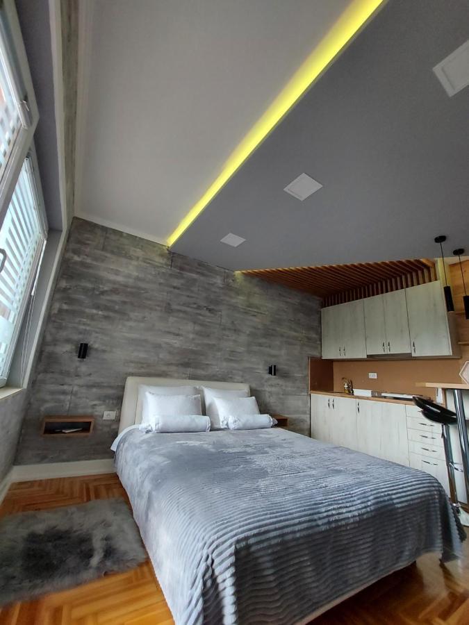 Apartman Studio Milica I 苏博蒂察 外观 照片