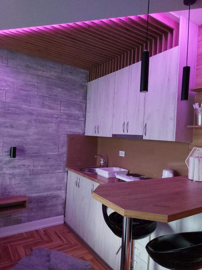 Apartman Studio Milica I 苏博蒂察 外观 照片