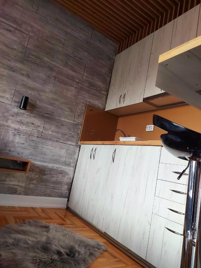 Apartman Studio Milica I 苏博蒂察 外观 照片
